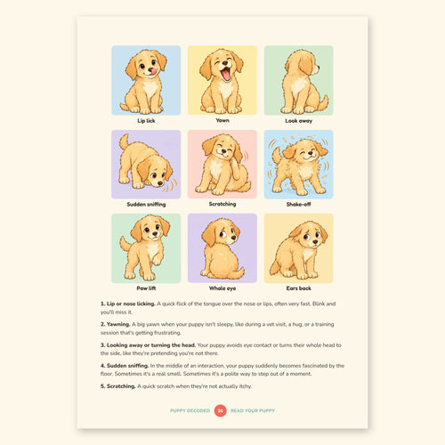Puppy Decoded: Read Your Puppy