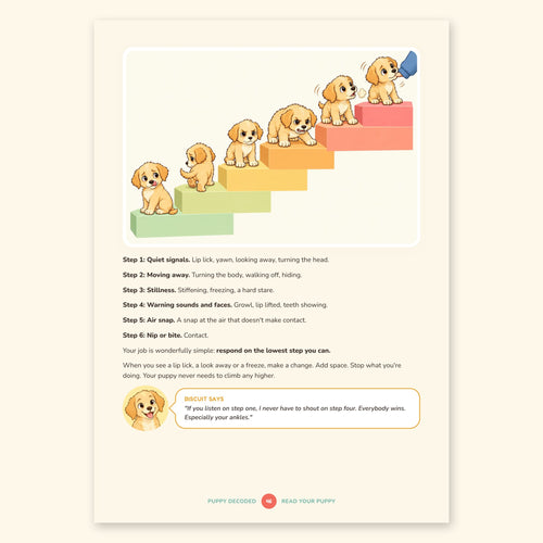 Puppy Decoded: Read Your Puppy